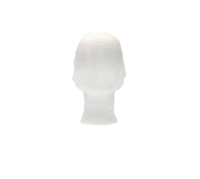 Haarnet CMT clip non-woven M 50cm PP wit 100 stuks