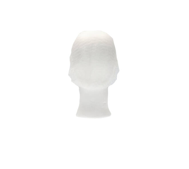Haarnet CMT clip non-woven L 53cm PP wit 100 stuks