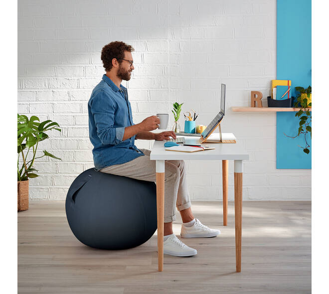 Actieve zitbal Leitz Ergo Cosy 65cm donkergrijs