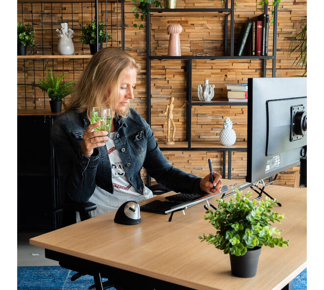 Documenthouder R-Go Flex Read Verstelbaar