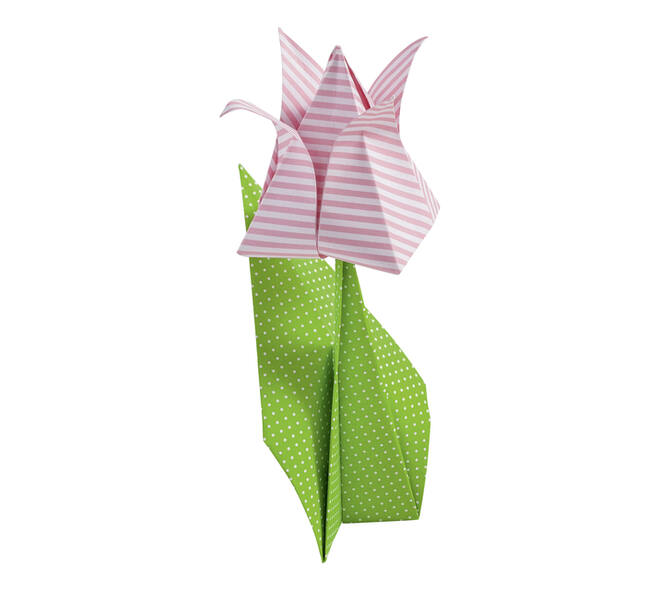 Vouwblaadjes Folia 80gr 20x20cm 50 vel 2-zijdig 10 basics designs
