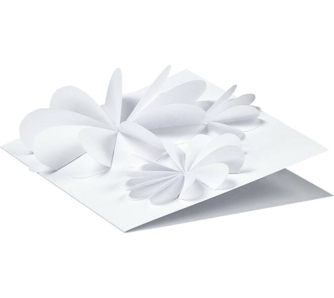 Fotokarton Folia 300gr 50x70cm 00 wit
