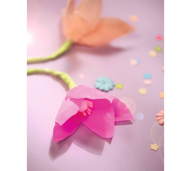 Crêpepapier Folia 50x250cm 10vel 176 roze