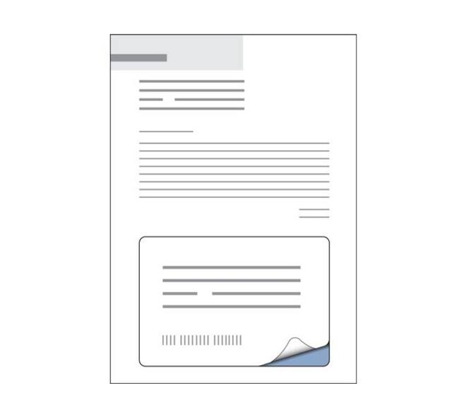 Retourlabel DPD IEZZY A4 1.000 vel 161,5x100mm 1000 labels