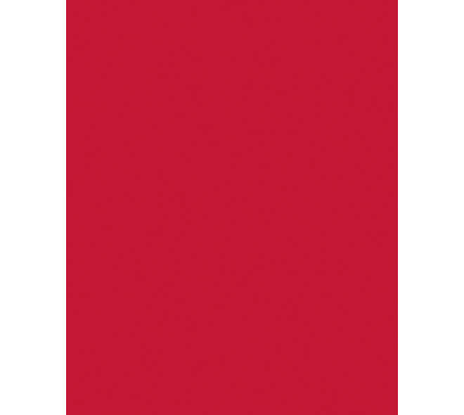 Etalagekarton Folia 1-zijdig 48x68cm 380gr nr211 rood