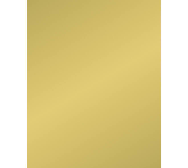 Etalagekarton Folia 1-zijdig 48x68cm 380gr nr611 goud