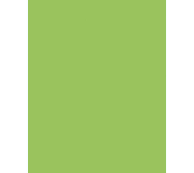 Etalagekarton Folia 1-zijdig 48x68cm 380gr nr941 fluor groen