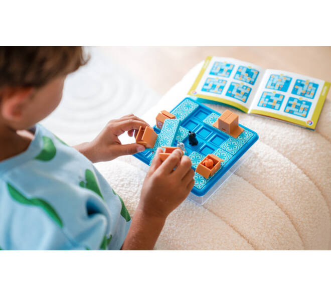 Puzzelspel Smart Games Cats & Boxes