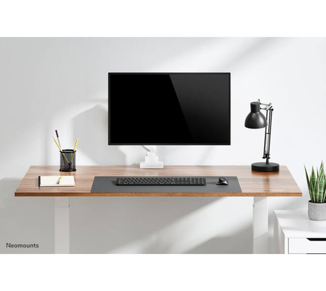 Monitorarm Neomounts NEXT Core single 17-42" wit