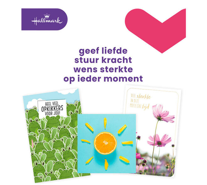 Wenskaart Hallmark Business Box beterschap navulset à 12 stuks