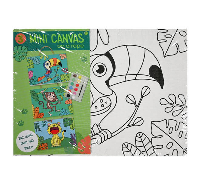 Canvasset om in te kleuren assorti