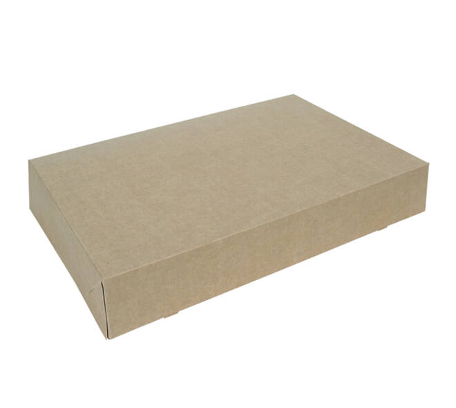 Cateringdoos IEZZY 46cm plasticvrij bruin 10 stuks
