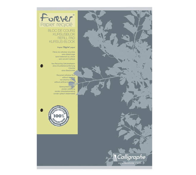 Cursusblok Clairefontaine Forever Calligraphe A4 ruit 5x5mm 2-gaats 200 pagina's 70gr grijs
