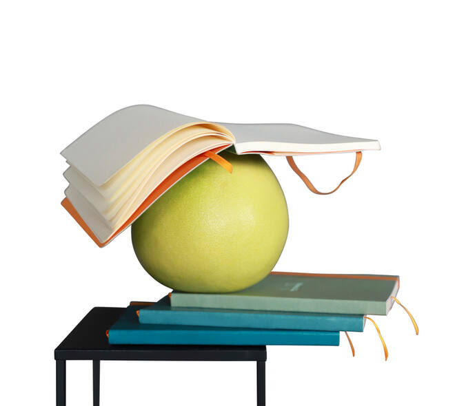 Notitieboek Rhodia A6 lijn 72 vel 90gr zwart