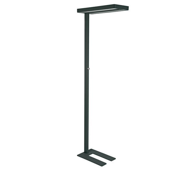 Vloerlamp MAUL Juvis LED beweging- daglichtsensor dimbaar hg 195cm zwart