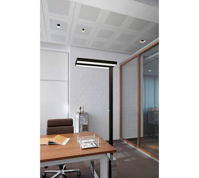 Vloerlamp MAUL Juvis LED beweging- daglichtsensor dimbaar hg 195cm zwart