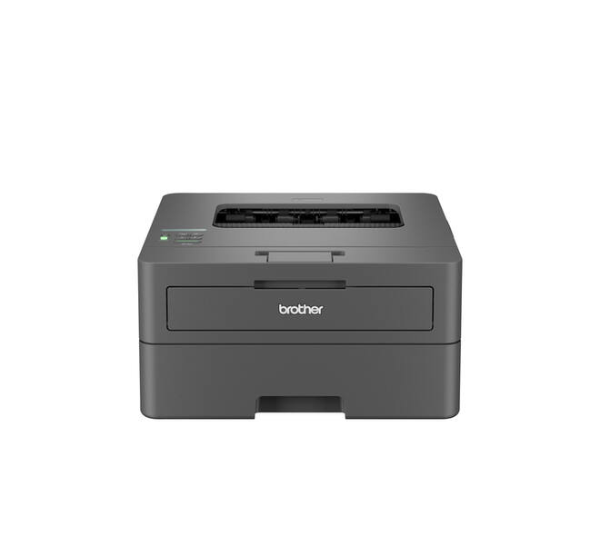 Printer Laser Brother HL-L2400DWE