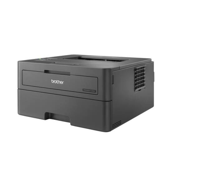 Printer Laser Brother HL-L2400DWE