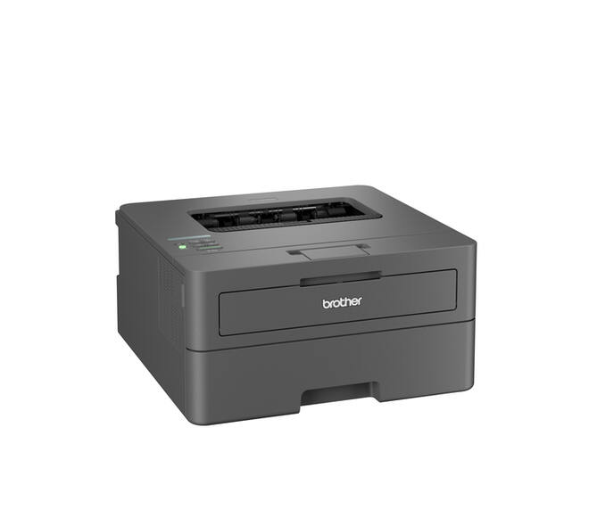 Printer Laser Brother HL-L2445DW