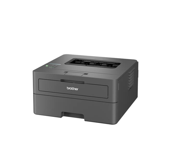 Printer Laser Brother HL-L2445DW