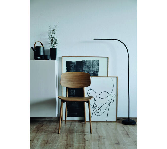 Vloerlamp MAUL Pirro LED dimbaar zwart