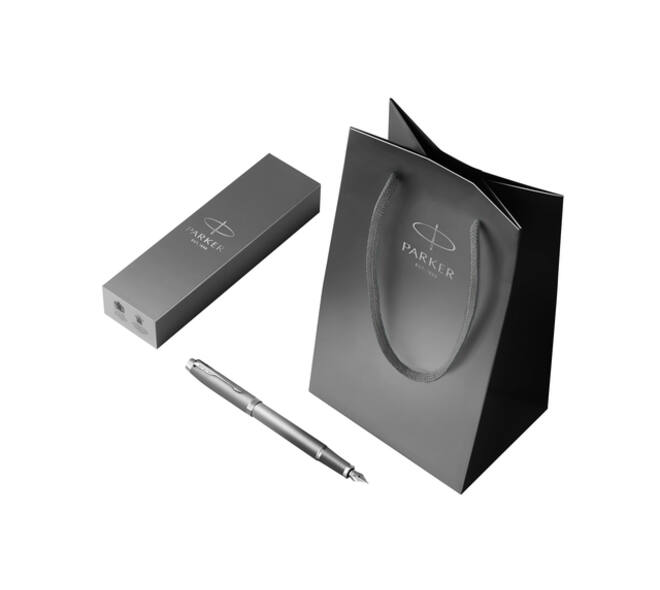 Vulpen  Parker IM Rituals grey CT medium