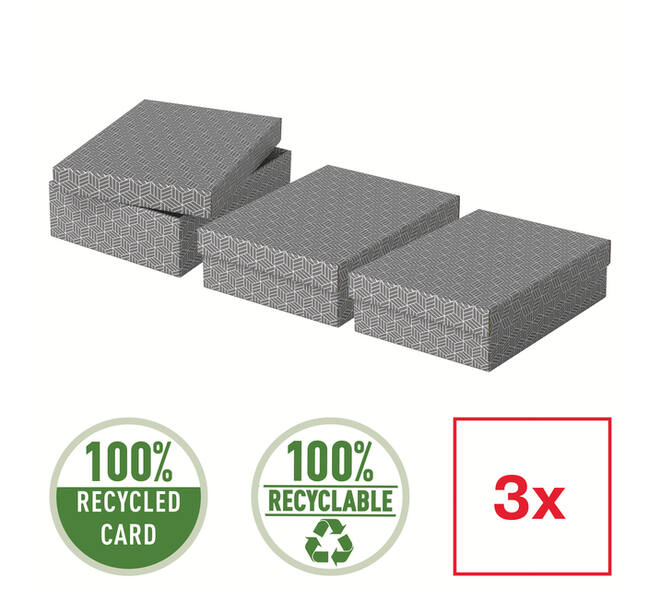 Opberg- en geschenkdoos Esselte home middelgroot 265x100x360mm grijs 3 stuks