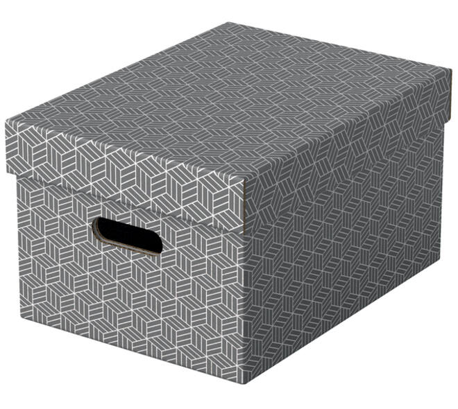 Opbergdoos Esselte home middelgroot 265x205x365mm grijs 3 stuks