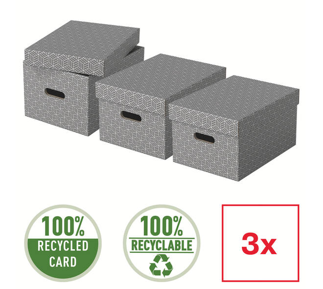 Opbergdoos Esselte home middelgroot 265x205x365mm grijs 3 stuks