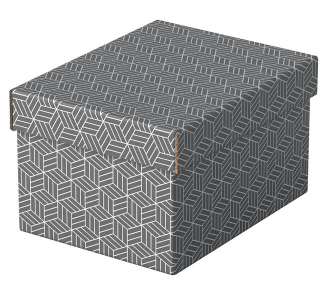 Opberg- en geschenkdoos Esselte home klein 200x150x255mm gr 3 st