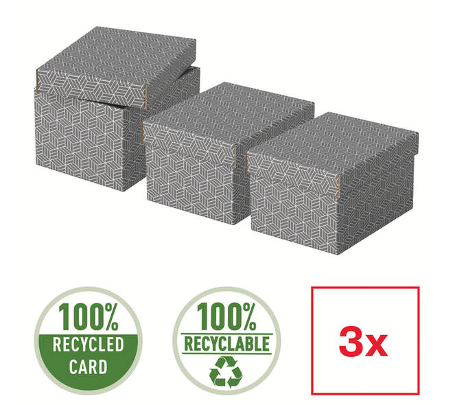 Opberg- en geschenkdoos Esselte home klein 200x150x255mm gr 3 st