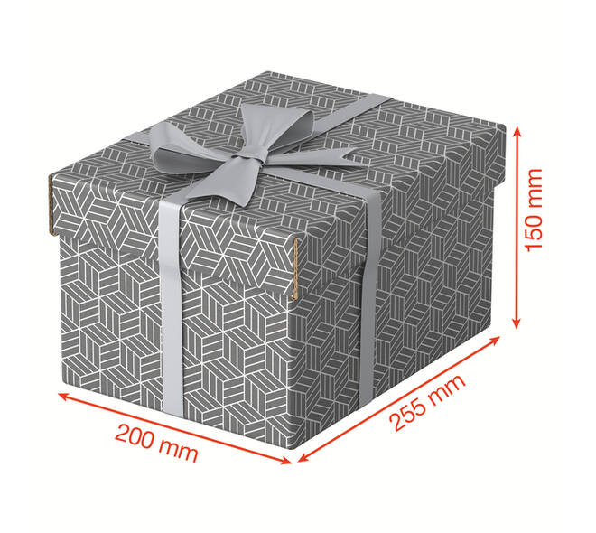 Opberg- en geschenkdoos Esselte home klein 200x150x255mm gr 3 st