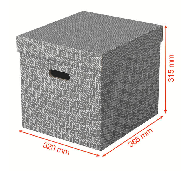 Opbergdoos Esselte home kubus 320x315x365mm grijs 3 stuks
