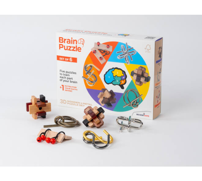 Brain Puzzles - set of 6