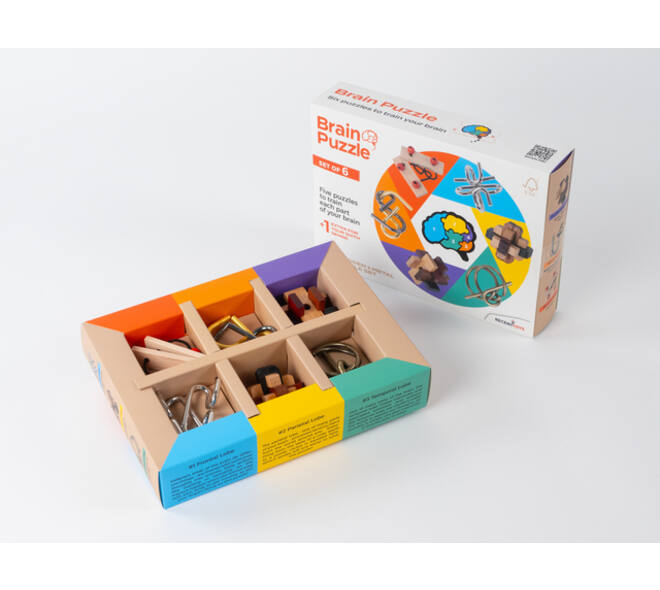 Brain Puzzles - set of 6