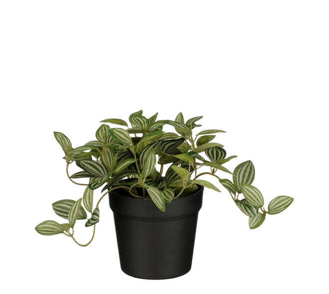 Kunstplant Mica Tradescantia in pot 16x16cm