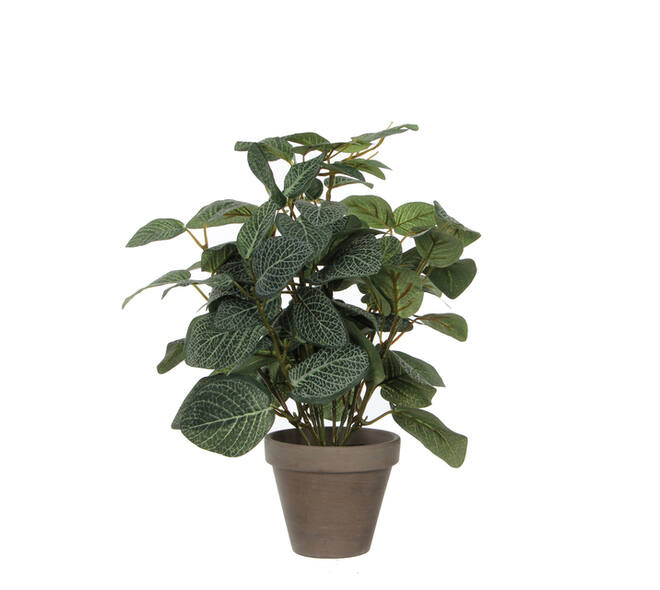 Kunstplant Mica Pilea in pot Ø11,5cm 35x25cm