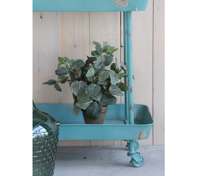Kunstplant Mica Pilea in pot Ø11,5cm 35x25cm