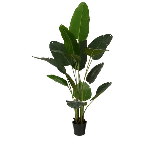 Kunstplant Mica Bananen boom in plastic pot 180x30cm