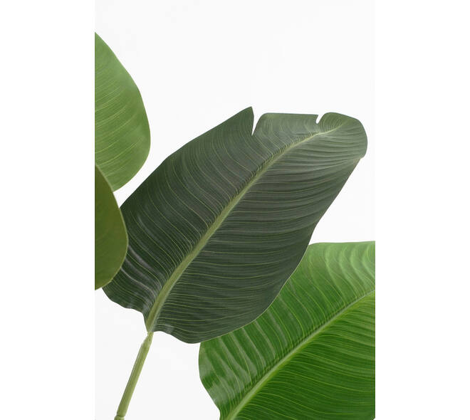 Kunstplant Mica Bananen boom in plastic pot 180x30cm