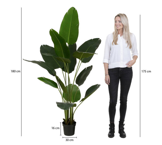 Kunstplant Mica Bananen boom in plastic pot 180x30cm