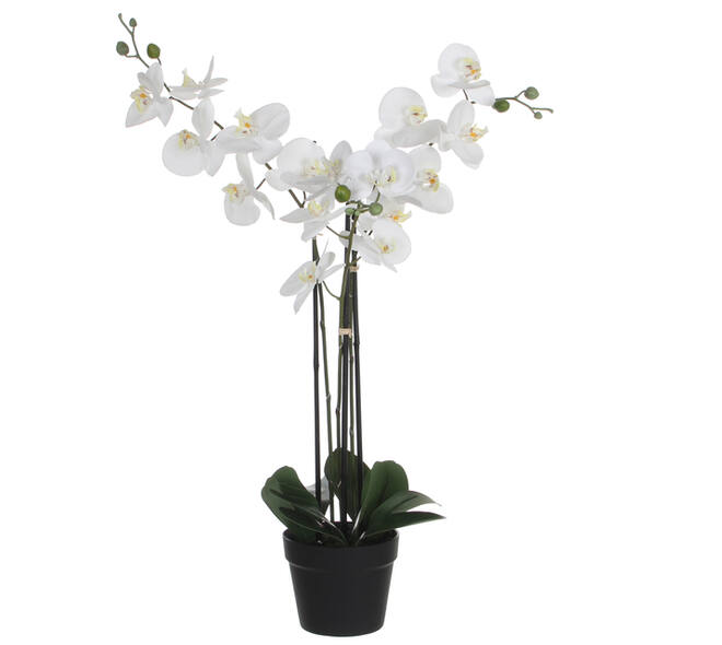 Kunstplant Mica Phalaenopsis orchideeën wit in plastic pot 79x51cm