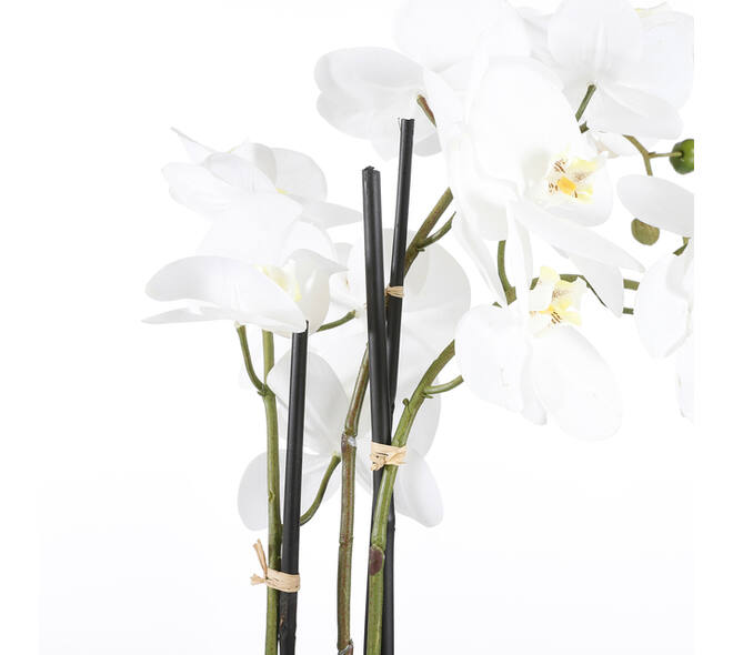 Kunstplant Mica Phalaenopsis orchideeën wit in plastic pot 79x51cm