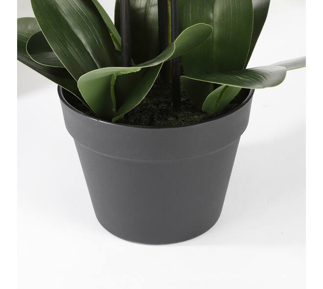 Kunstplant Mica Phalaenopsis orchideeën wit in plastic pot 79x51cm