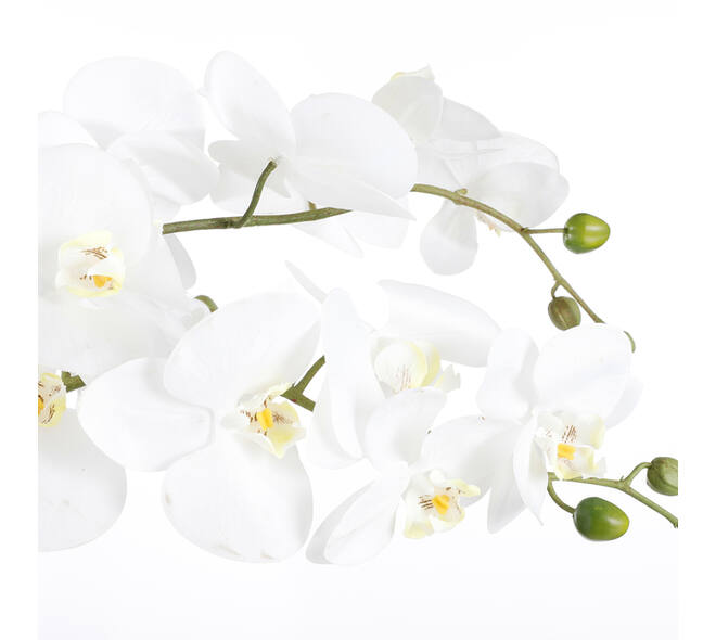 Kunstplant Mica Phalaenopsis orchideeën wit in plastic pot 79x51cm
