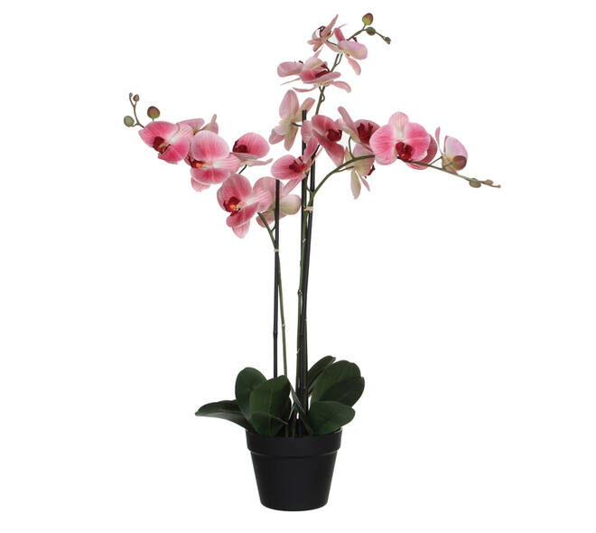 Kunstplant Mica Phalaenopsis orchideeën roze in plastic pot 79x51cm