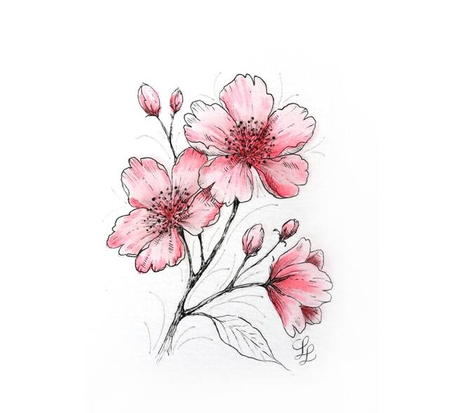 Tekenset Sakura Creative Kit Cherry Blossom 6 stuks