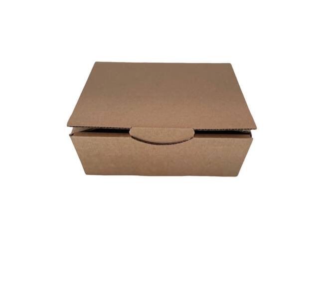 Postdoos IEZZY 300x240x100mm E-golf bruin