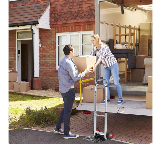 Steekwagen BRASQ stalen plateau 90 kg