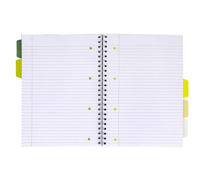 Projectboek Pukka Pad Recycled A4 lijn 5-tabs 4-gaats 200 pagina's 80gr groen
